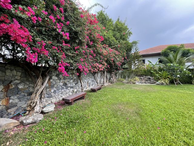 place photo 43