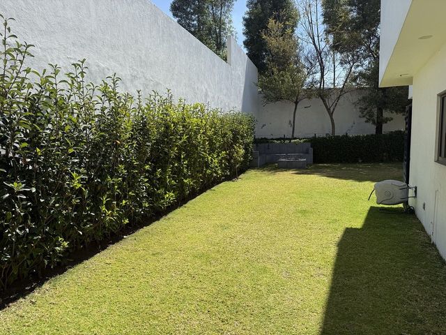 place photo 44
