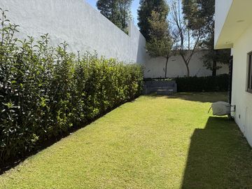 place photo 44