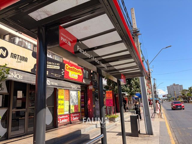place photo 25