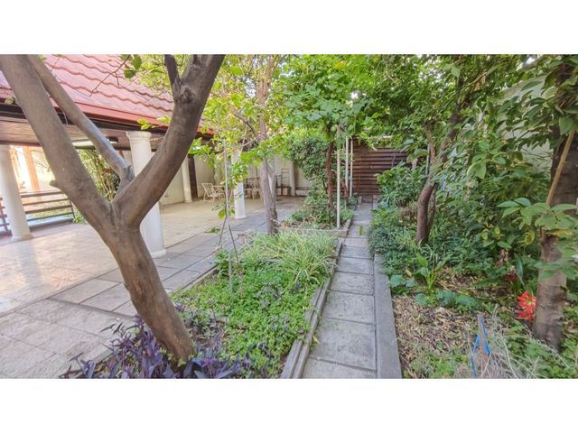 place photo 38
