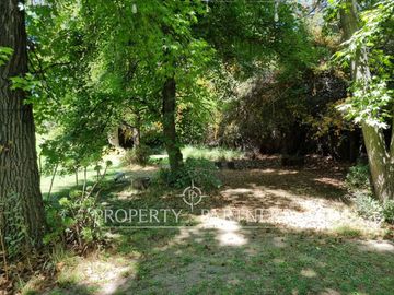place photo 43