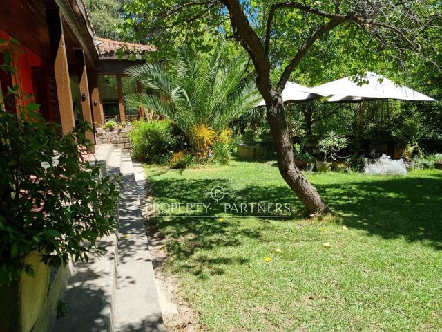 place photo 46
