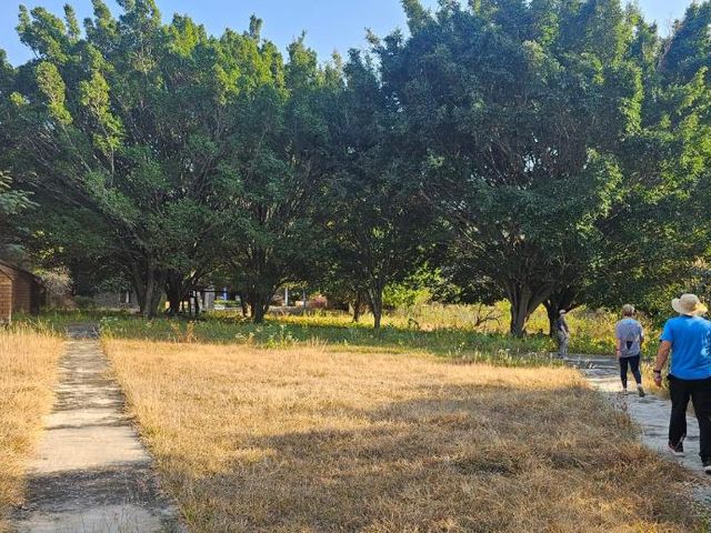 place photo 31