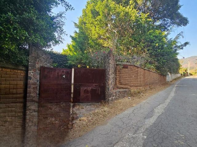 place photo 47