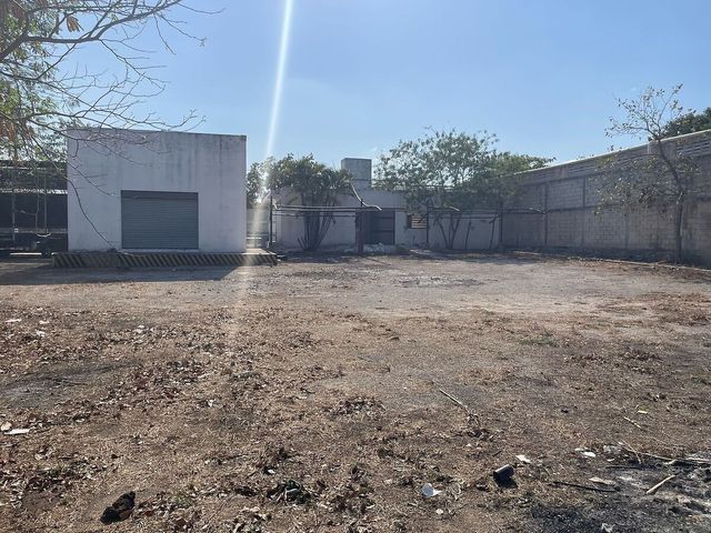 place photo 15