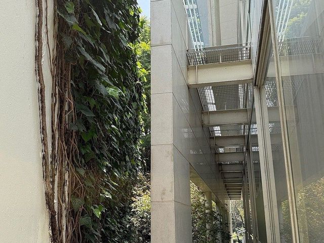 place photo 48