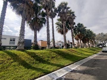 place photo 39