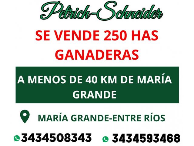 Se venden 250 has ganaderas a 40 km de María Grande.Entre Ríos