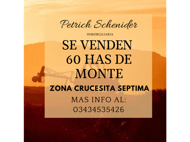 Se vende 60 has de Monte zona Crucecita  Septima