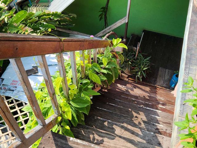 place photo 30