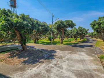 place photo 87