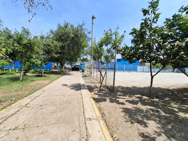 place photo 23