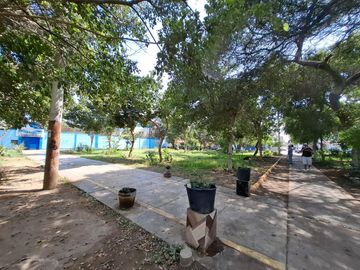 place photo 21