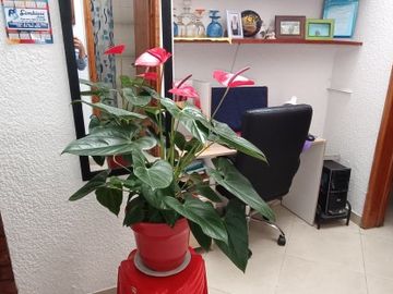 place photo 17