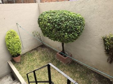 place photo 32