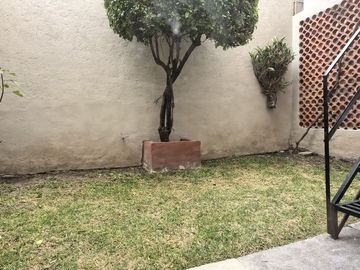 place photo 41