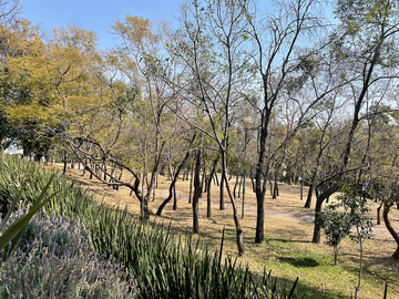 place photo 34