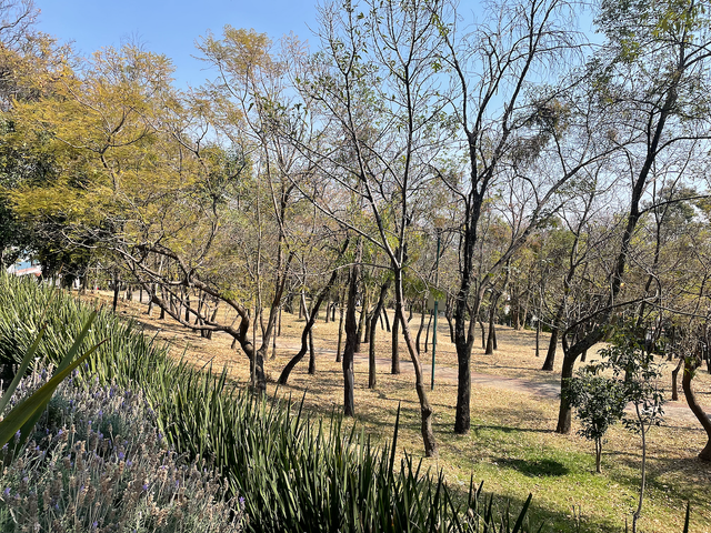 place photo 34