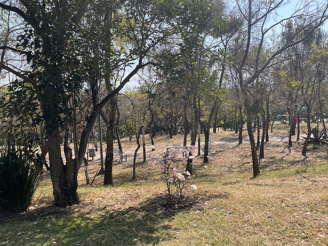 place photo 35