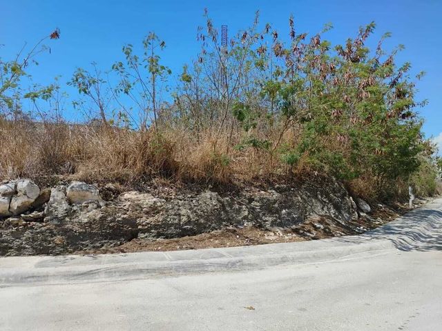 place photo 10