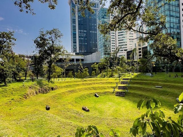 place photo 49