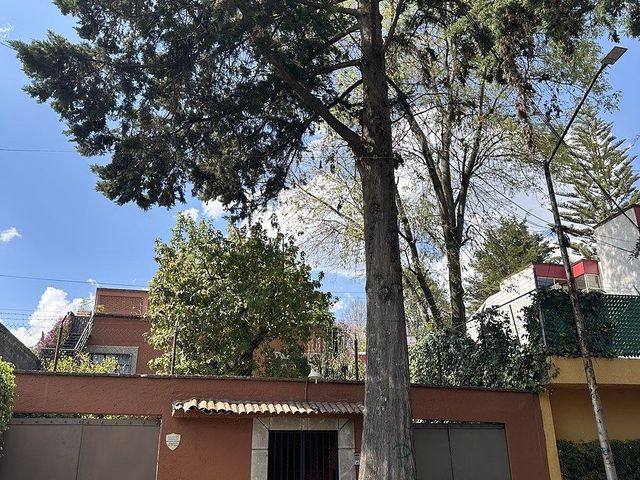 place photo 41