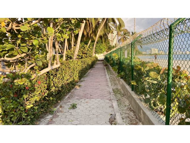 place photo 23
