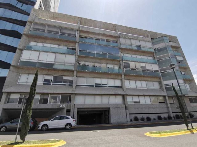 place photo 40