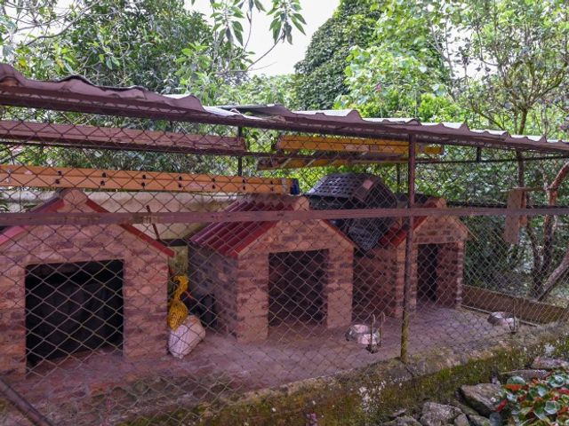 place photo 25