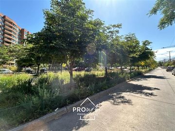 place photo 37