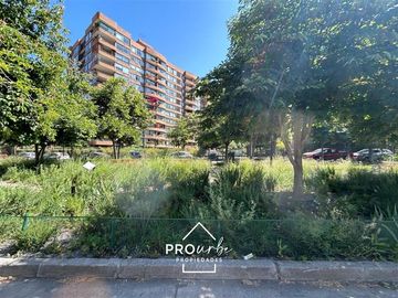 place photo 38