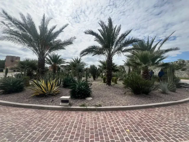 place photo 29