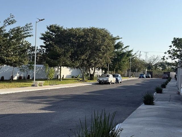 place photo 18