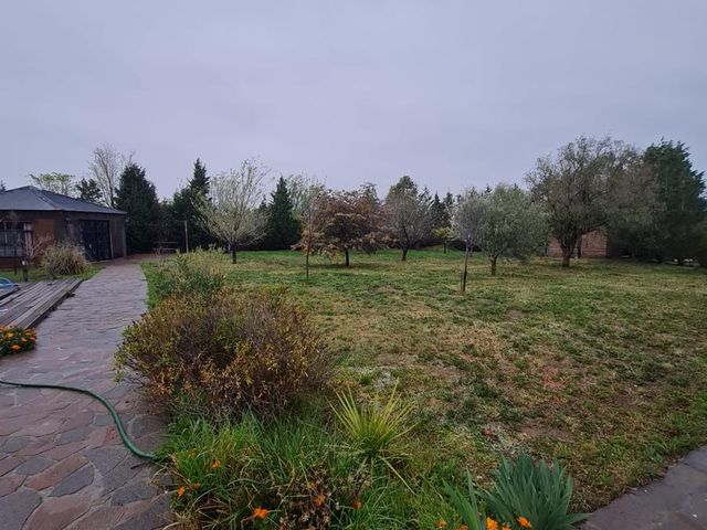 place photo 26