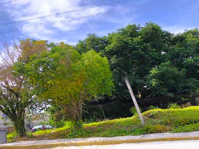 place photo 1