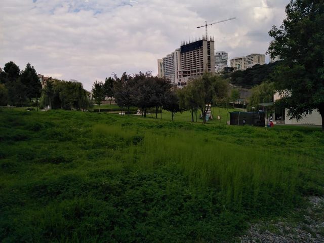 Vista horizonte