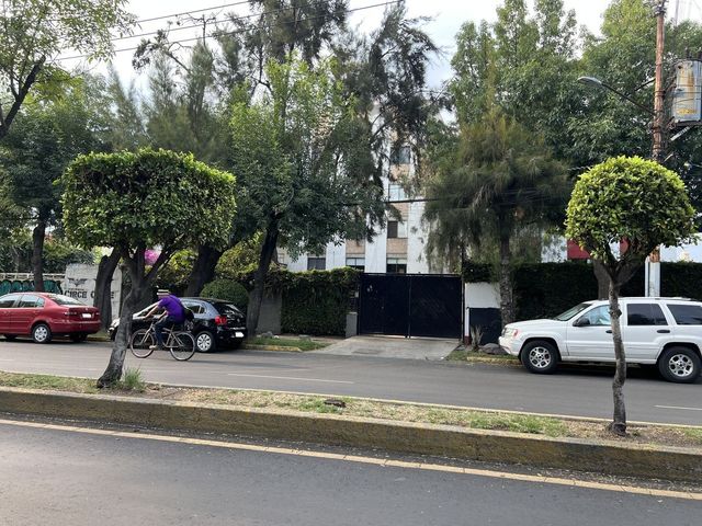 place photo 24