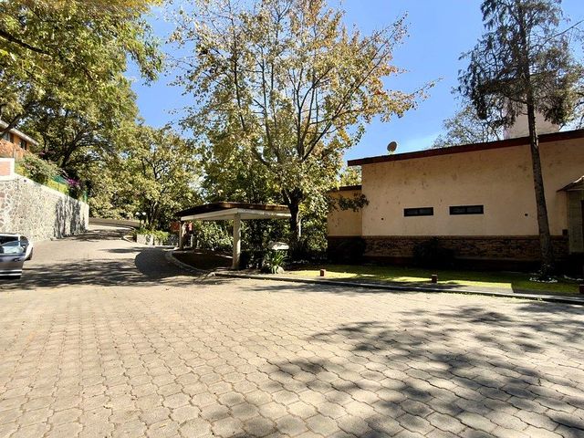 place photo 38