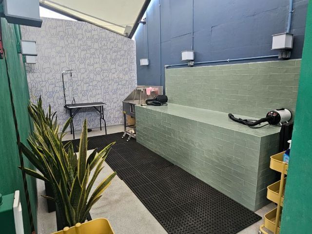 place photo 37