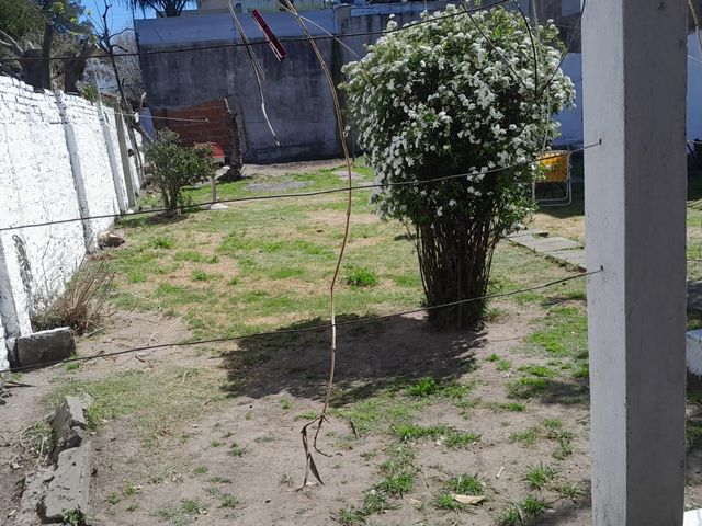 place photo 18