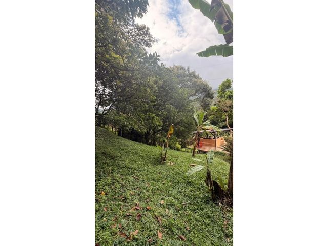place photo 60