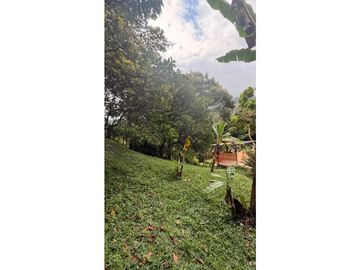 place photo 60