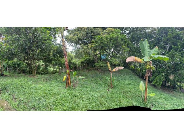 place photo 84