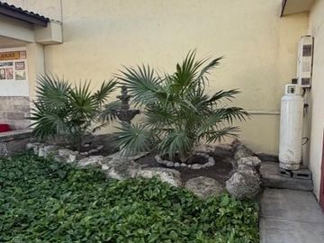 place photo 26