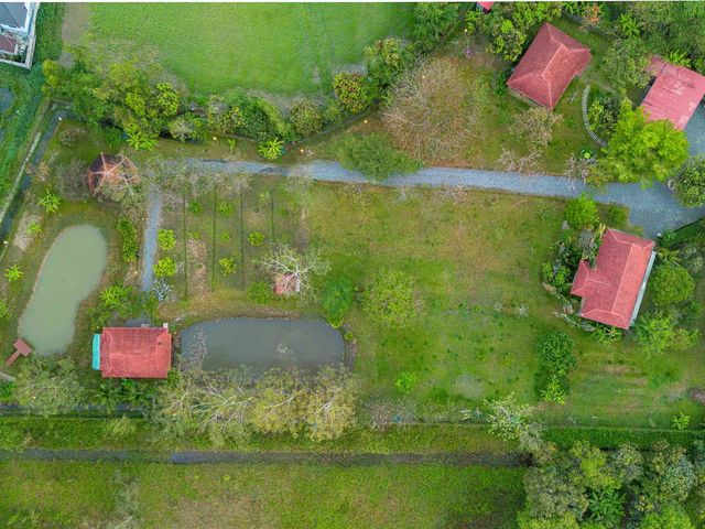 5 Rai Countryside Lake House For Sale In Doi Saket