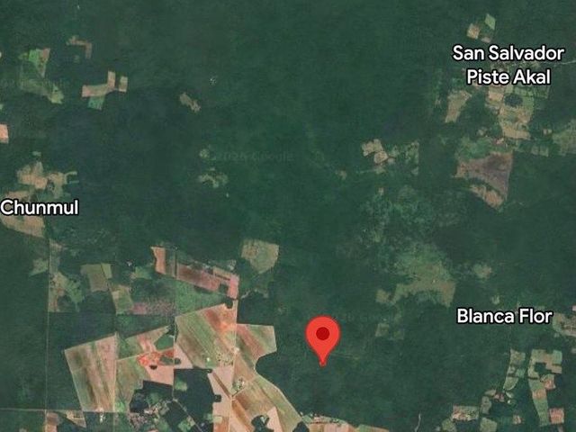 place photo 14