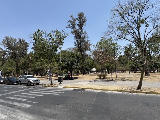 place photo 18