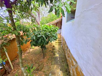 place photo 46
