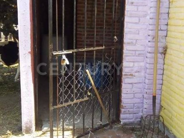 place photo 18